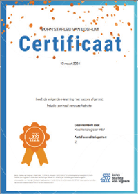 Certificaat Skills Online mbo